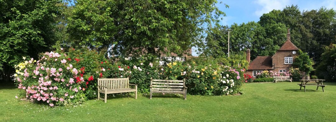 Panoramic view of The Three Horseshoes pub garden in Elsted with rose bushes in bloom, wooden benches and historic brick building
